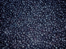 Черника замороженная очищенная ООО "Грибная поляна"